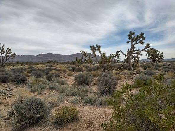 1.25 Acres of Land for Sale in Meadview, Arizona