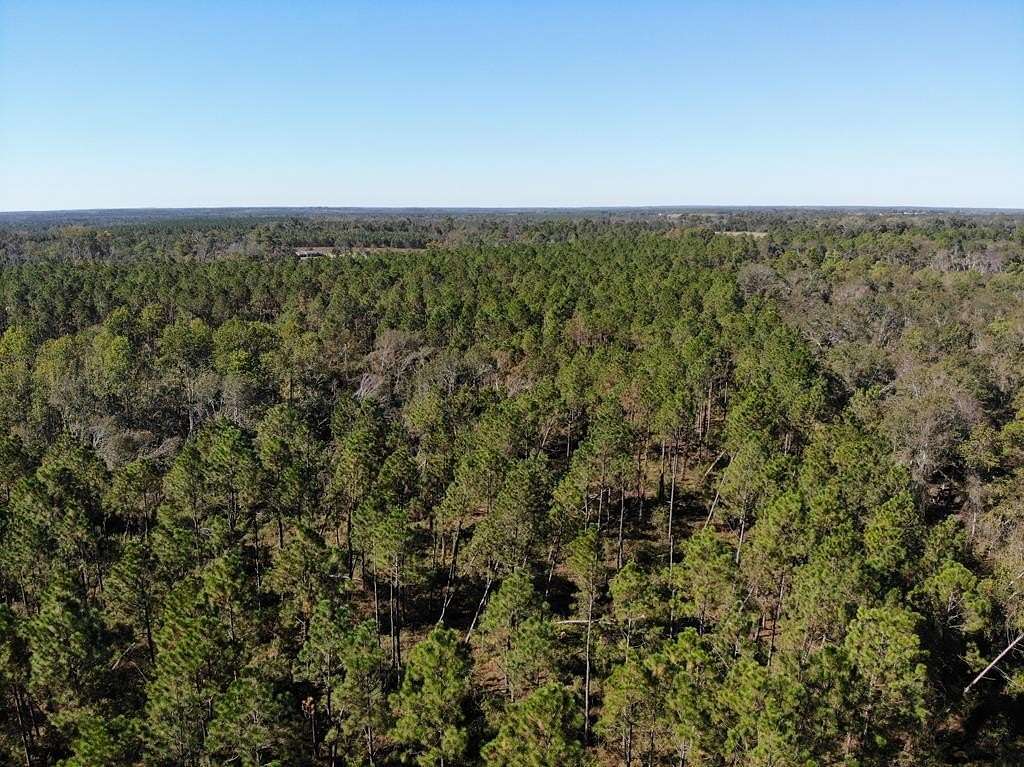 51.1 Acres of Land for Sale in McRae-Helena, Georgia