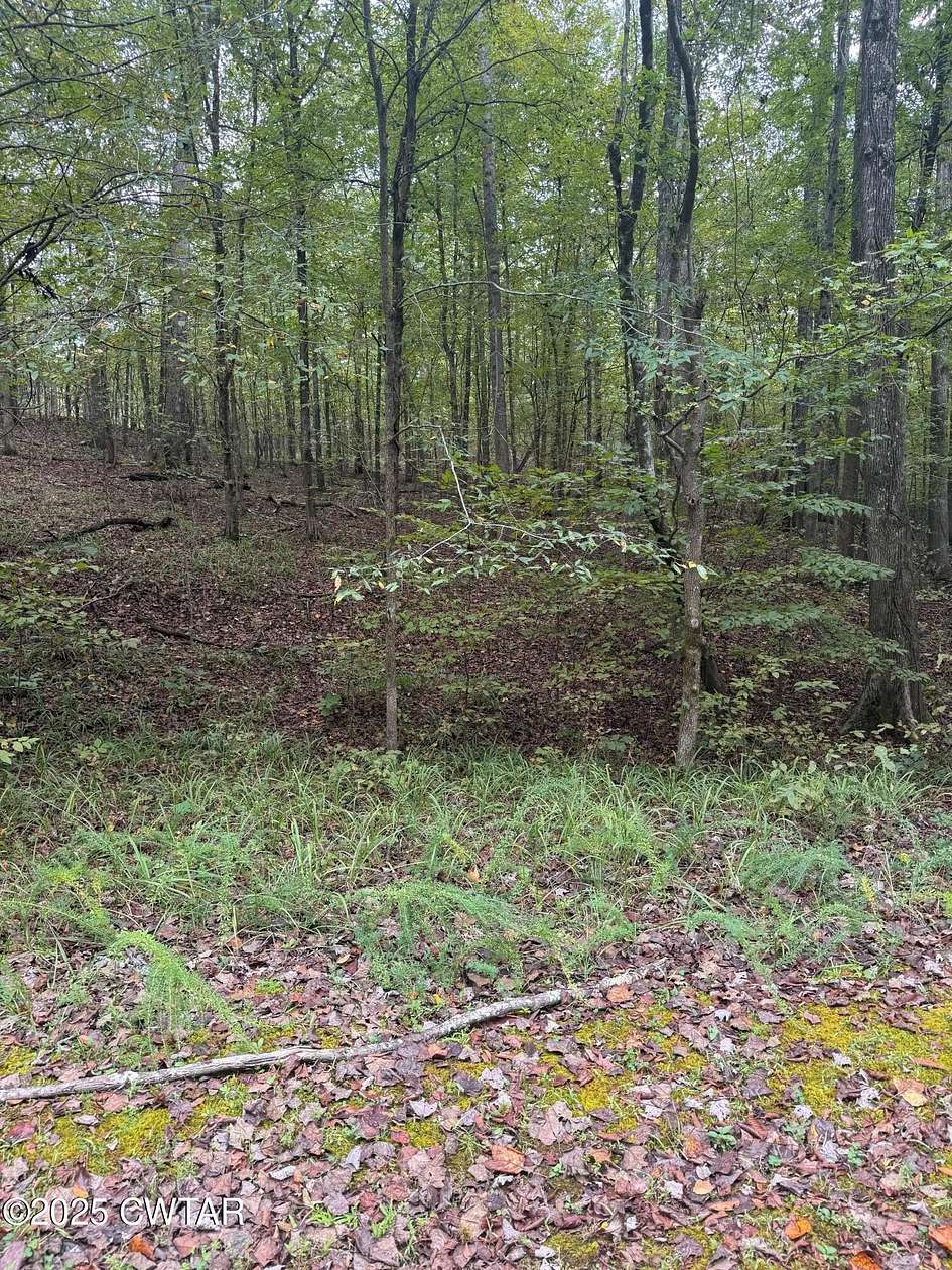 Residential Land for Sale in Saulsbury, Tennessee