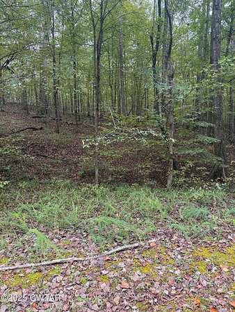 Residential Land for Sale in Saulsbury, Tennessee