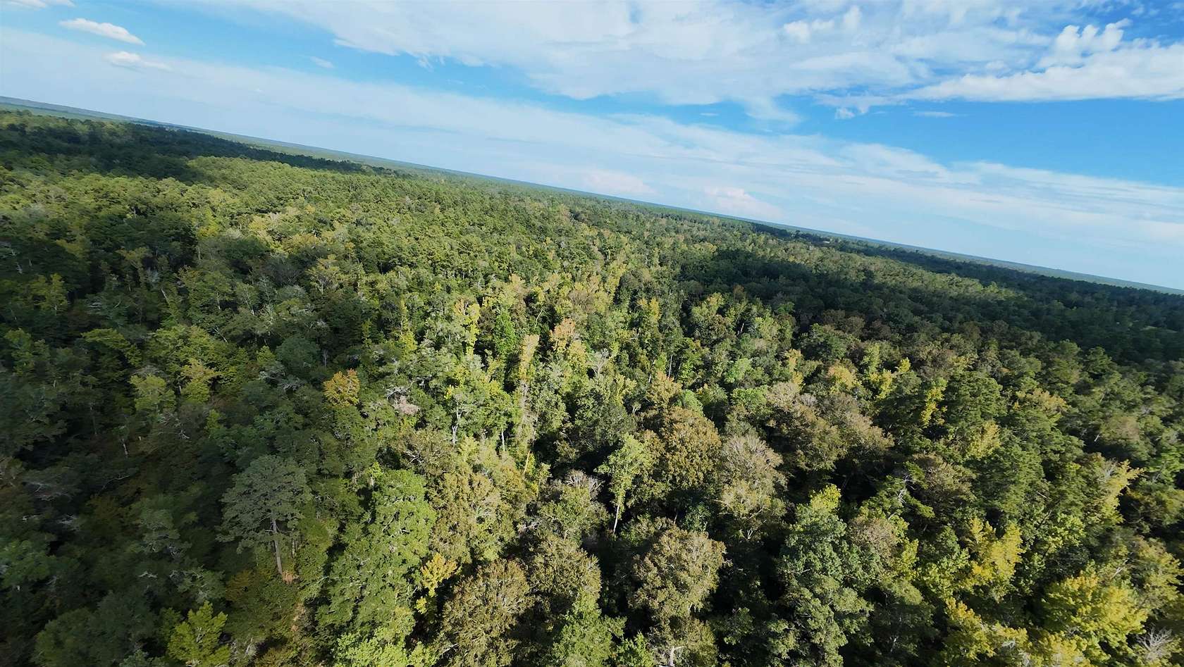 40 Acres of Recreational Land for Sale in Bristol, Florida