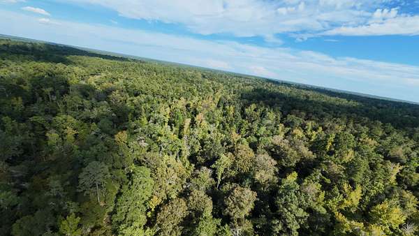 40 Acres of Recreational Land for Sale in Bristol, Florida