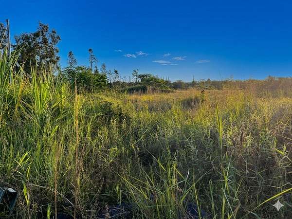 3 Acres of Residential Land for Sale in Mountain View, Hawaii