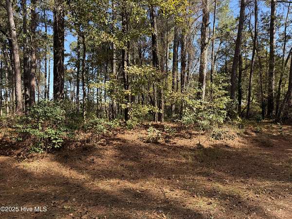 1 Acre of Residential Land for Sale in Goldsboro, North Carolina