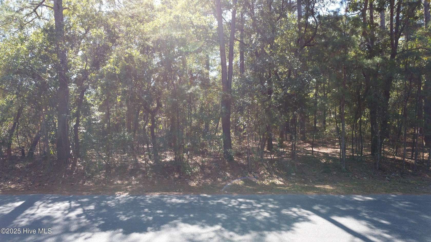 0.47 Acres of Residential Land for Sale in Dudley, North Carolina