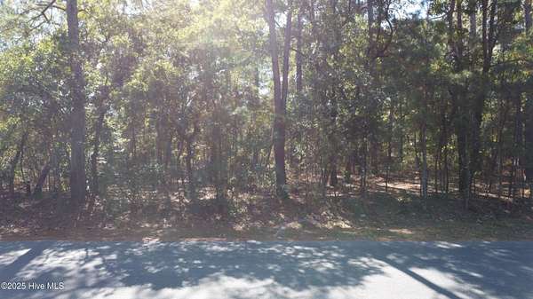 0.47 Acres of Residential Land for Sale in Dudley, North Carolina