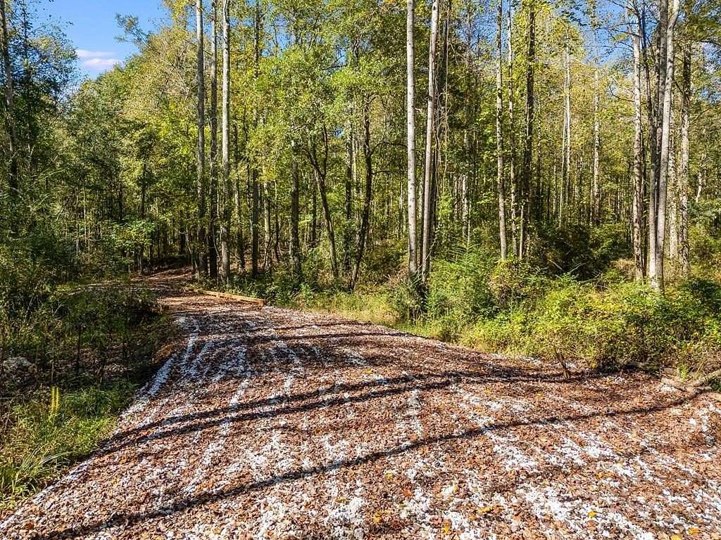 Residential Land for Sale in Carrollton, Georgia