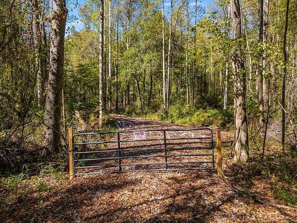 Residential Land for Sale in Bremen, Georgia