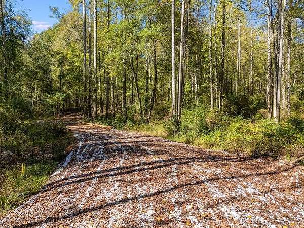 Residential Land for Sale in Carrollton, Georgia