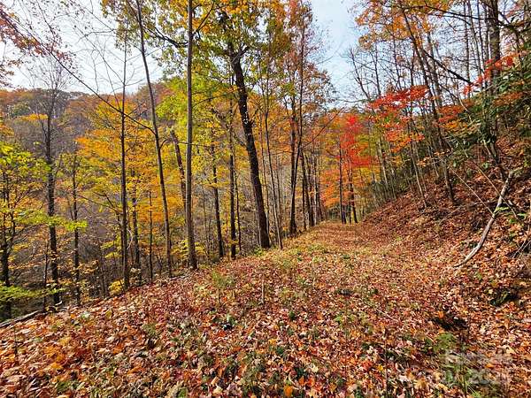 6.12 Acres of Land for Sale in Maggie Valley, North Carolina