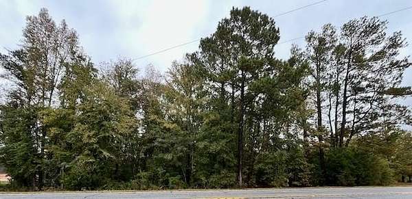 1 Acre of Residential Land for Sale in Waterloo, South Carolina