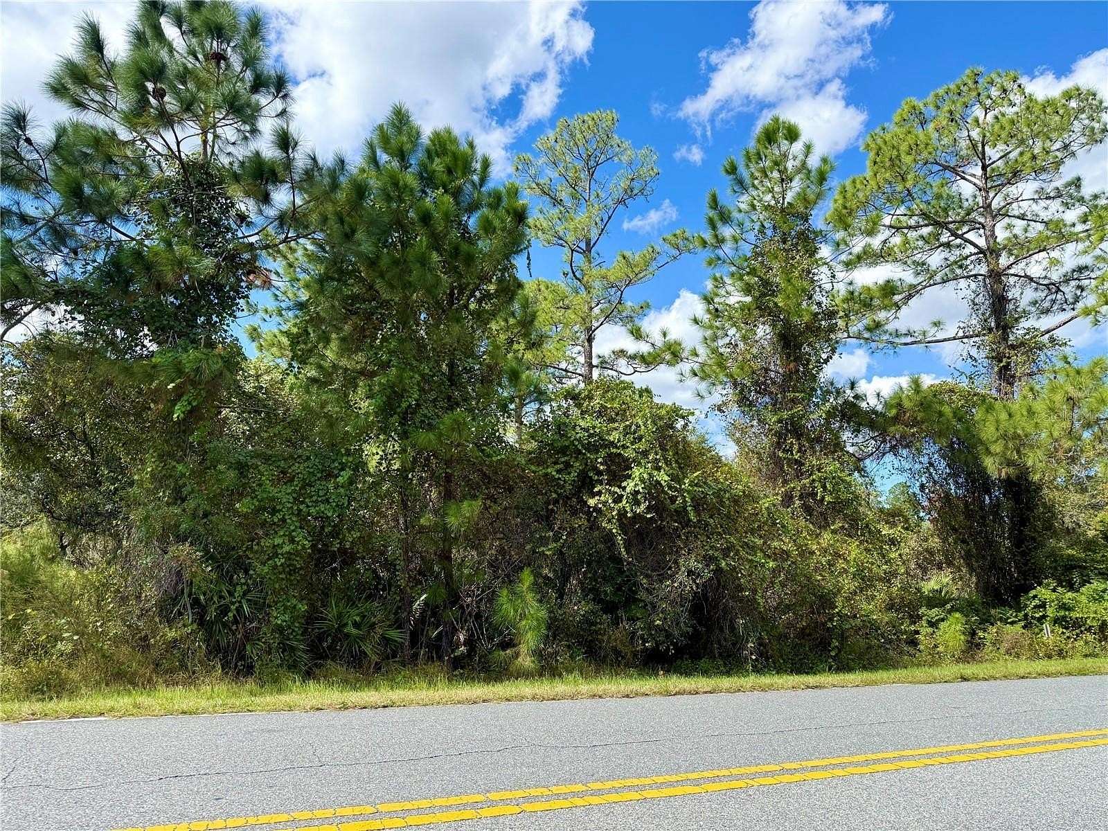 1 Acre of Residential Land for Sale in Eustis, Florida