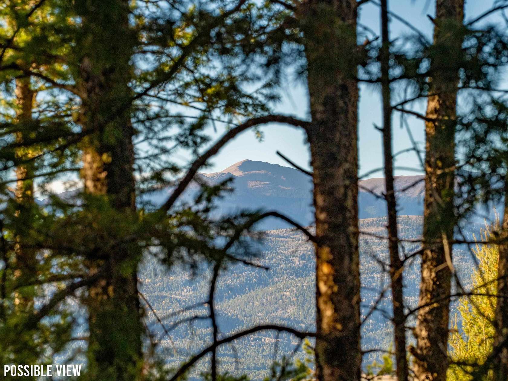 1 Acre of Residential Land for Sale in Angel Fire, New Mexico