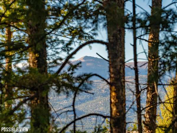 1 Acre of Residential Land for Sale in Angel Fire, New Mexico