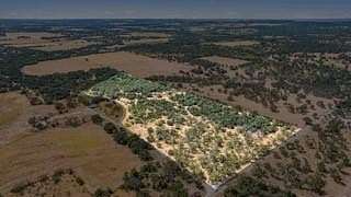 18.1 Acres of Recreational Land & Farm for Sale in Fredericksburg, Texas