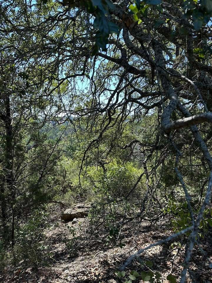 0.22 Acres of Residential Land for Sale in Lago Vista, Texas