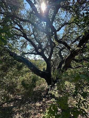 0.22 Acres of Residential Land for Sale in Lago Vista, Texas