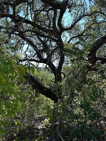 0.22 Acres of Residential Land for Sale in Lago Vista, Texas