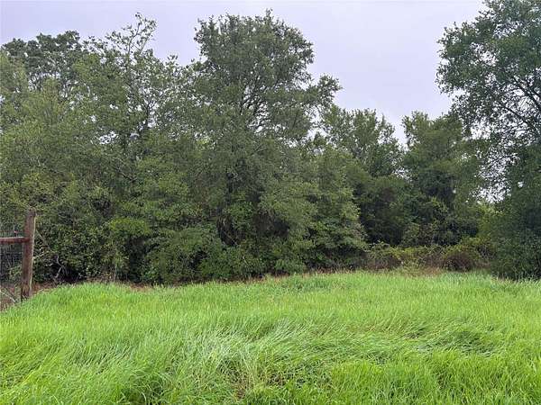 0.67 Acres of Residential Land for Sale in Bastrop, Texas