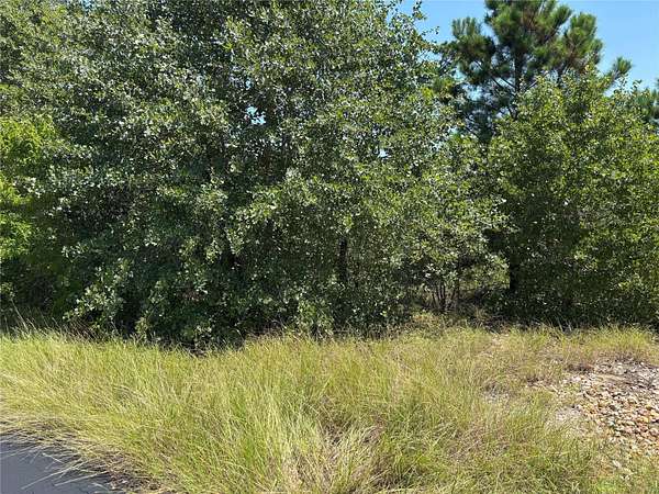 0.25 Acres of Residential Land for Sale in Bastrop, Texas