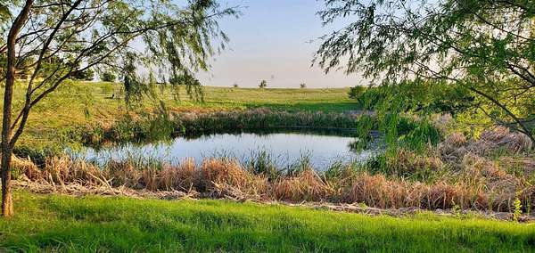 10 Acres of Land for Sale in Coupland, Texas