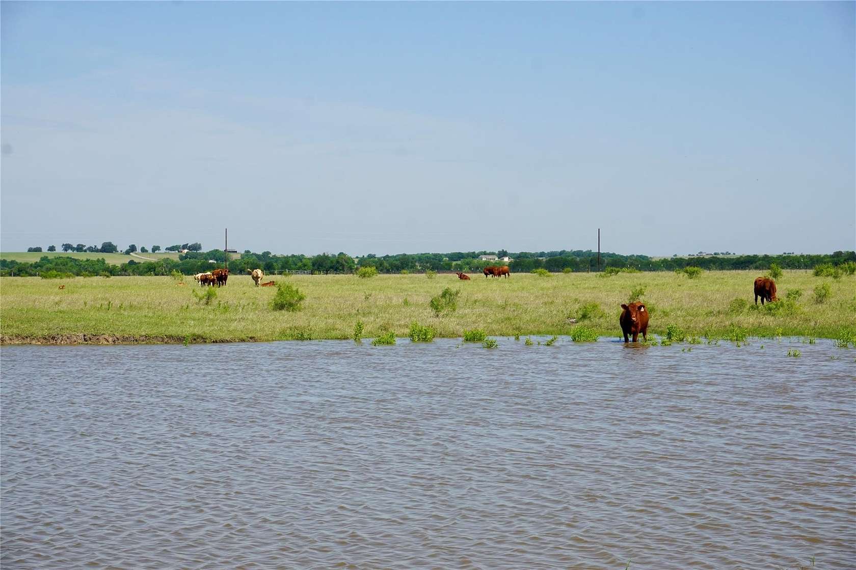 12.5 Acres of Land for Sale in Rogers, Texas