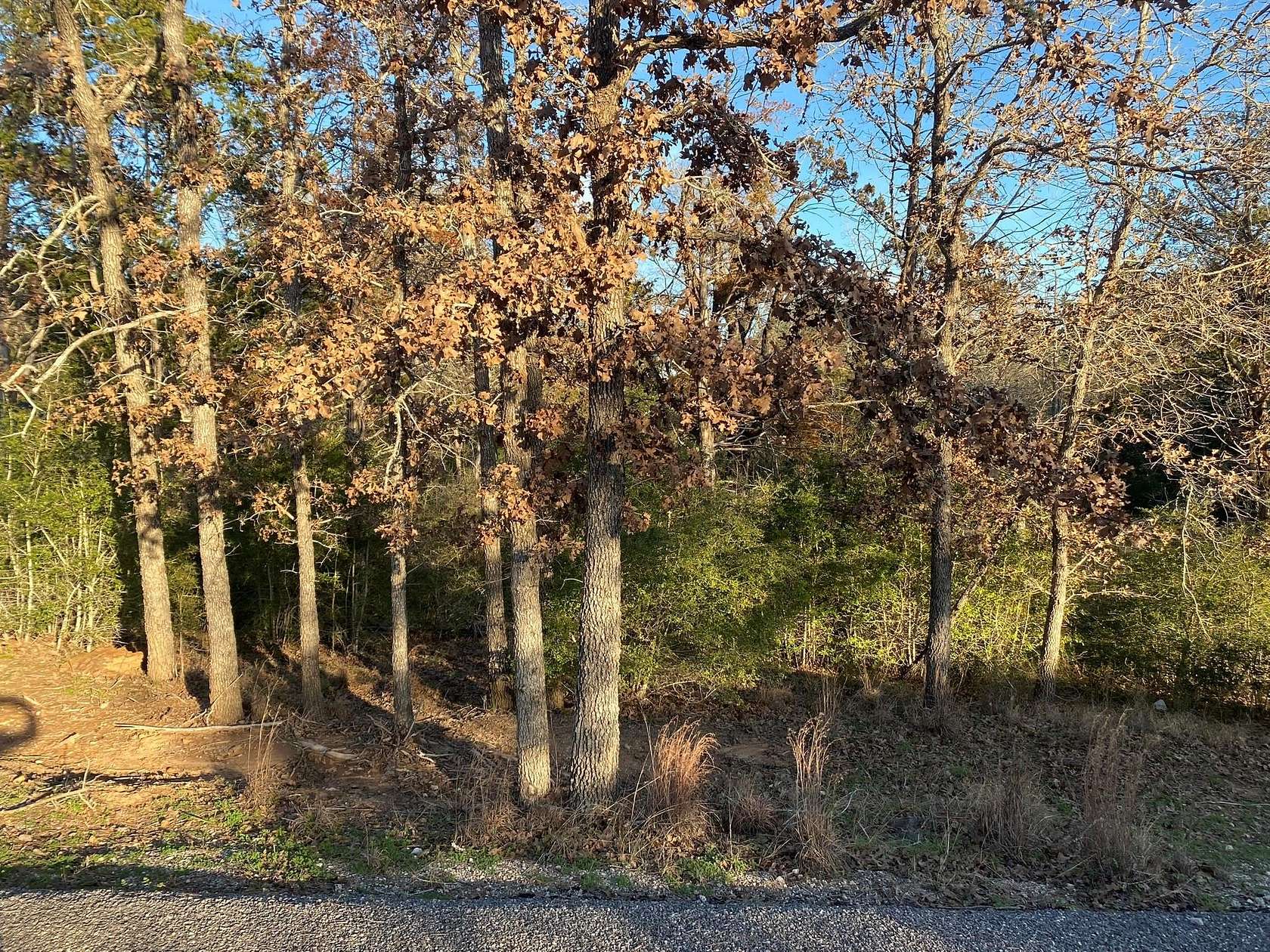 0.34 Acres of Land for Sale in Bastrop, Texas