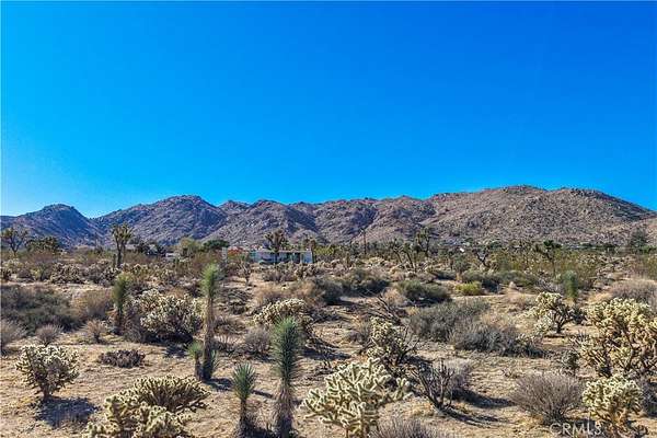 0.44 Acres of Residential Land for Sale in Joshua Tree, California