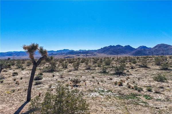 0.41 Acres of Residential Land for Sale in Joshua Tree, California