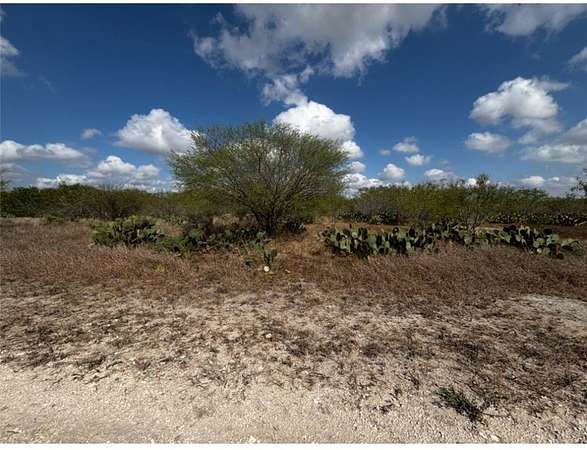 11 Acres of Recreational Land for Sale in Alice, Texas