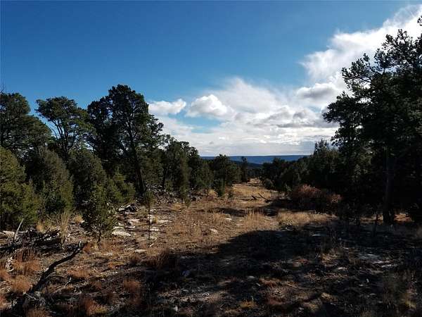 35 Acres of Recreational Land for Sale in Pecos, New Mexico