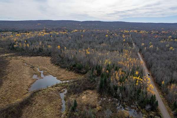 20 Acres of Recreational Land for Sale in Anderson Town, Wisconsin