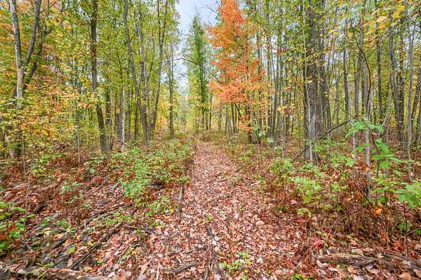 10 Acres of Land for Sale in Evart, Michigan
