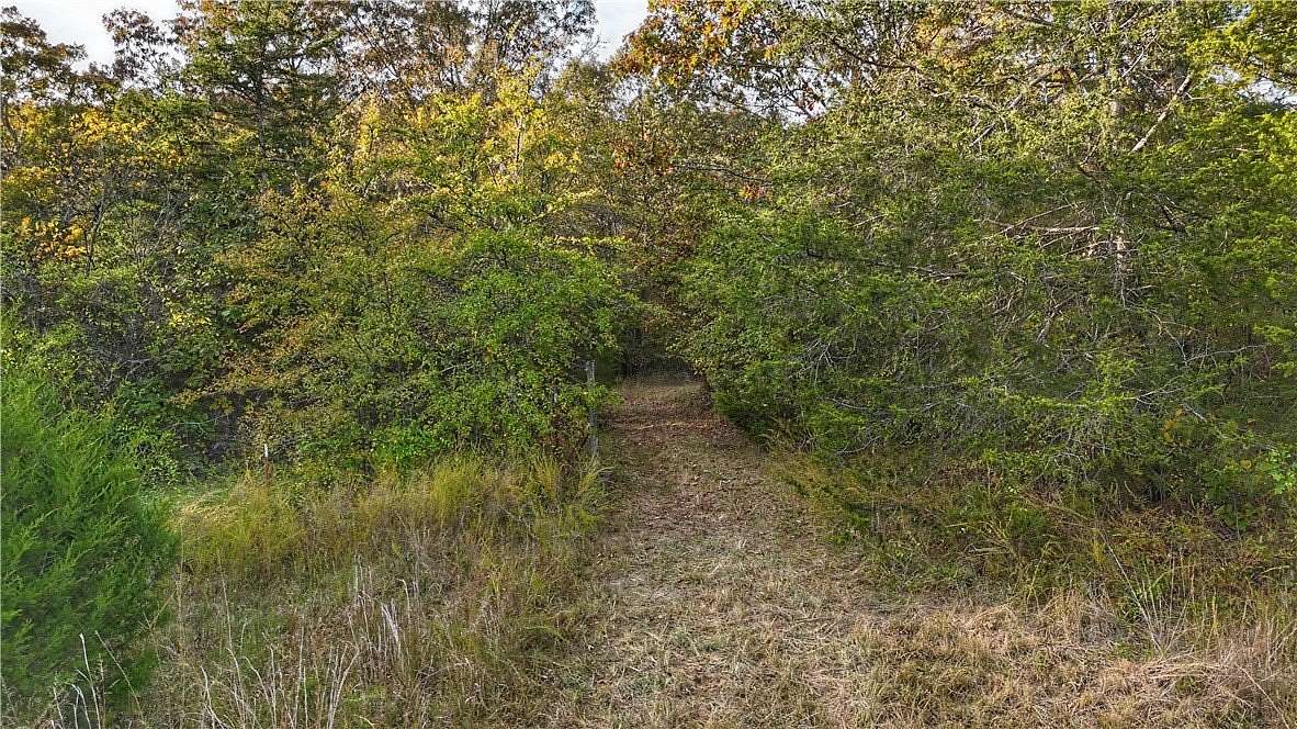 40 Acres of Recreational & Residential Land for Sale in Western Grove, Arkansas