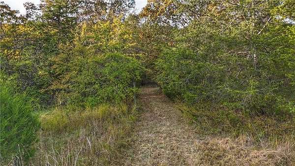 40 Acres of Recreational Land for Sale in Western Grove, Arkansas