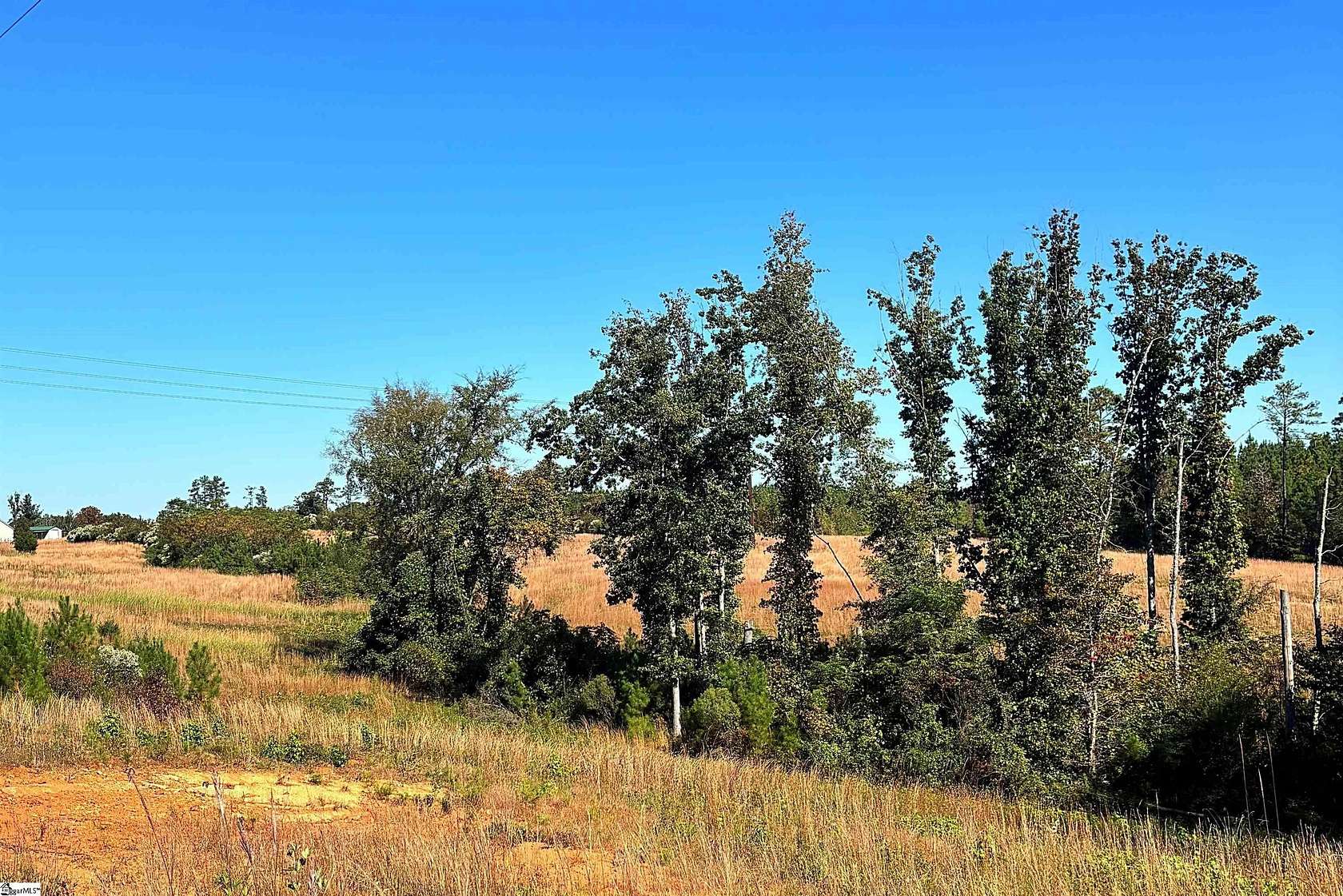 19.4 Acres of Land for Sale in Waterloo, South Carolina