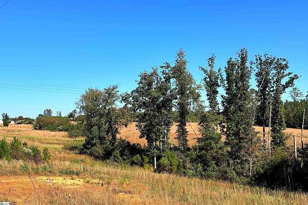 19.4 Acres of Land for Sale in Waterloo, South Carolina