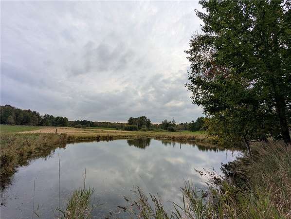 238 Acres of Recreational Land & Farm for Sale in Stanley, Wisconsin