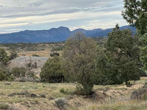 2.5 Acres of Residential Land with Home for Sale in Los Ojos, New Mexico