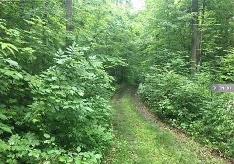 20 Acres of Recreational Land for Sale in North Adams, Michigan