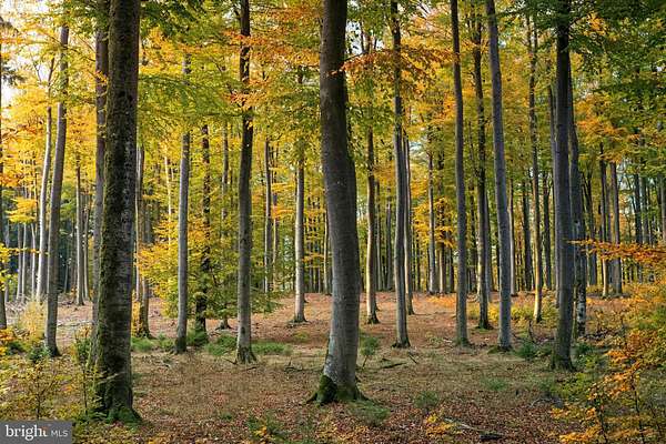 1.12 Acres of Residential Land for Sale in Doylestown, Pennsylvania