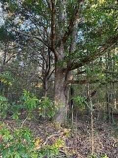 10.1 Acres of Mixed-Use Land for Sale in Oxford, Mississippi