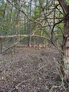 10.1 Acres of Mixed-Use Land for Sale in Oxford, Mississippi