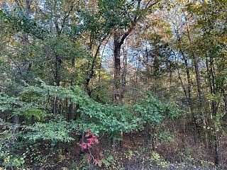 16.5 Acres of Land for Sale in Oxford, Mississippi