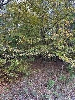 16 Acres of Land for Sale in Oxford, Mississippi