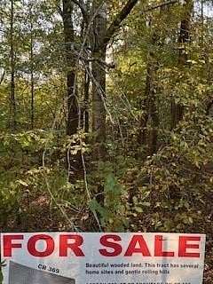 16 Acres of Land for Sale in Oxford, Mississippi