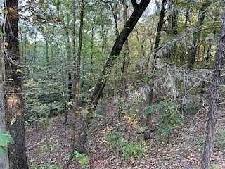 19.4 Acres of Land for Sale in Oxford, Mississippi