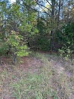10.6 Acres of Land for Sale in Oxford, Mississippi