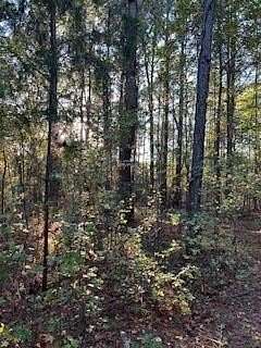 10.6 Acres of Land for Sale in Oxford, Mississippi