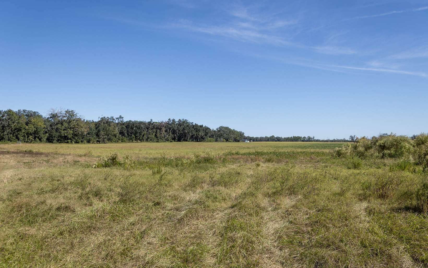 120 Acres of Land for Sale in Live Oak, Florida